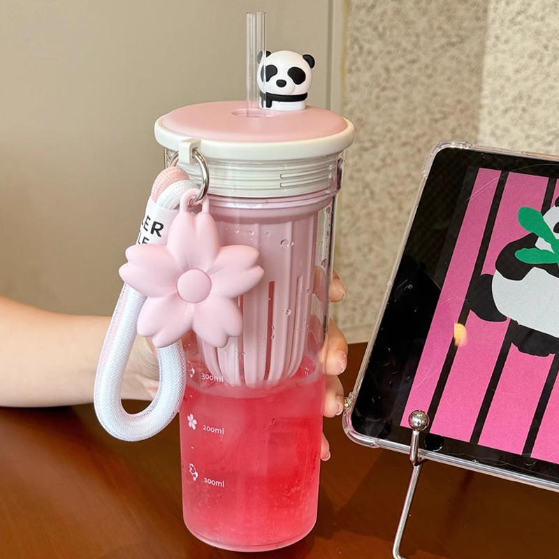 650ml Kawaii Waterfles Met Fil - Coffee Equipment Filter recensie en prijs